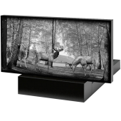 памятники из гранита